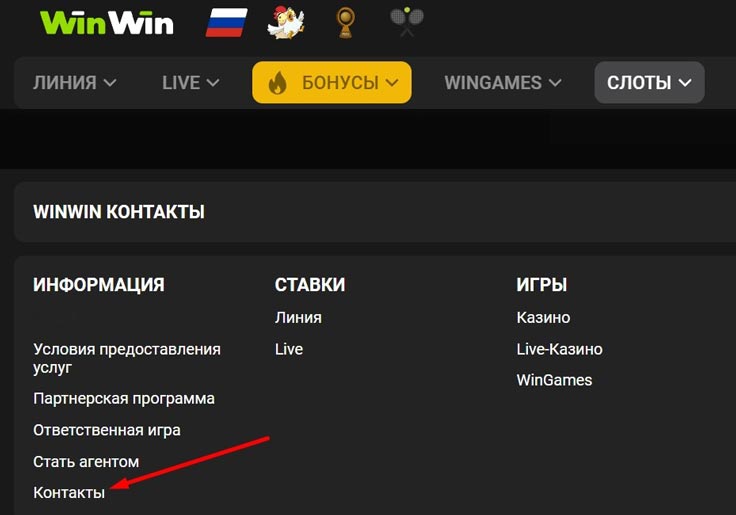 Саппорт ВинВин